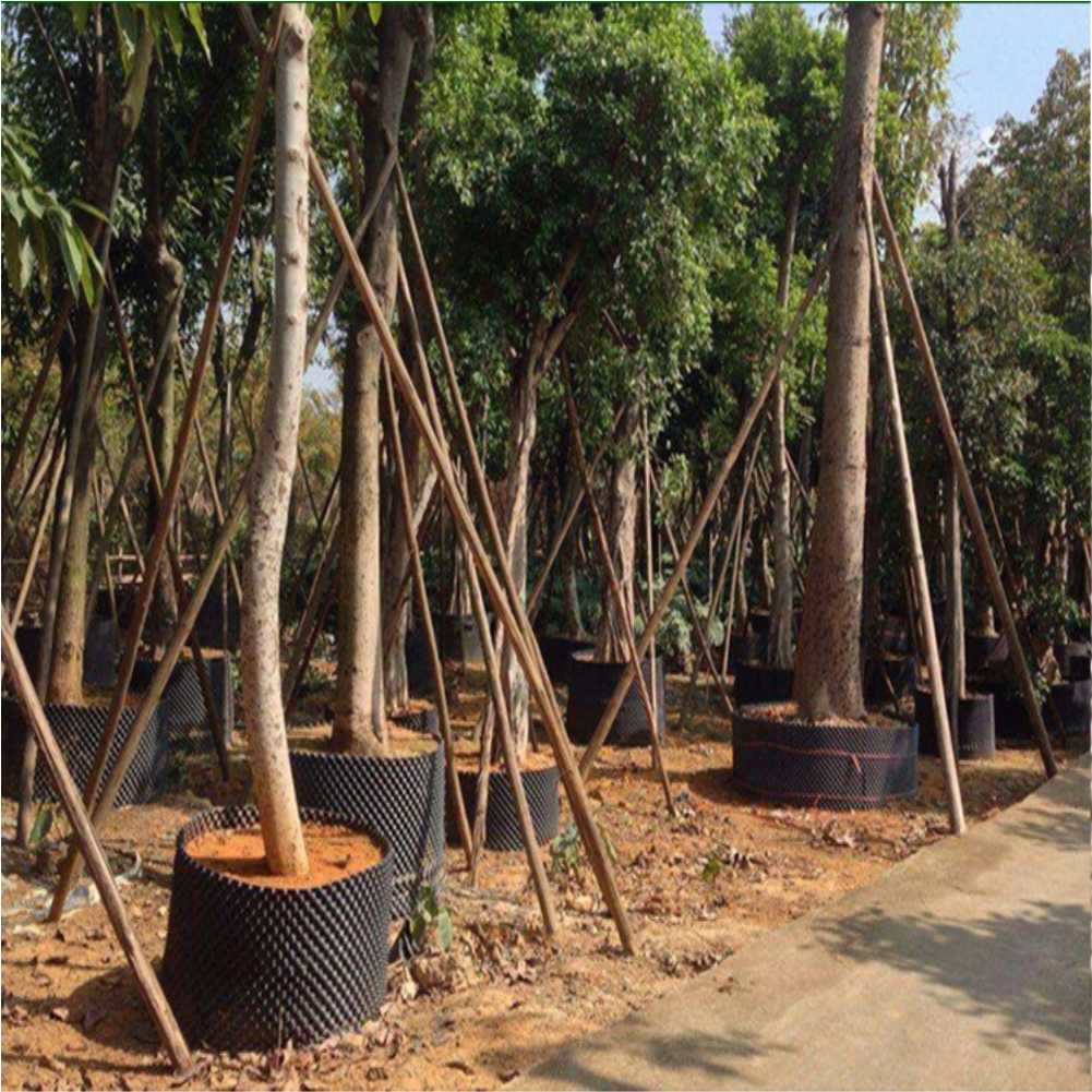 Grow Container Garden Tree Bon - Outdoor Furniture Metal recension och pris